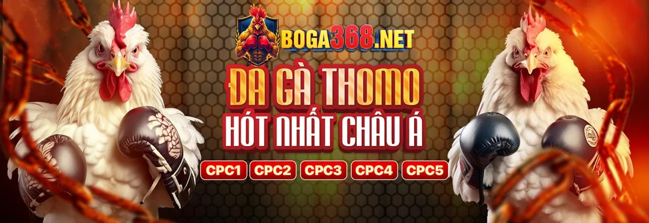 Đá gà trực tuyến Banca29 link mới nhất